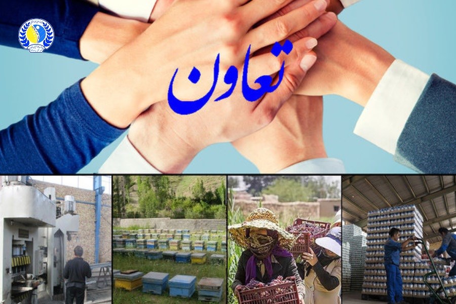 رقابت تعاونی های برتر از اردیبهشت ۱۴۰۵ آغاز می شود
