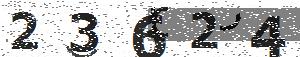 تصویر امنیتی
