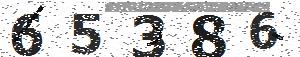 تصویر امنیتی